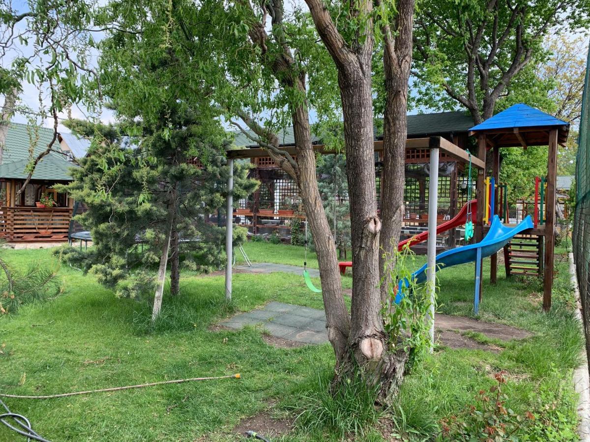 Pensiune Restaurant Rustic Rm Sarat Râmnicu Sărat Dış mekan fotoğraf
