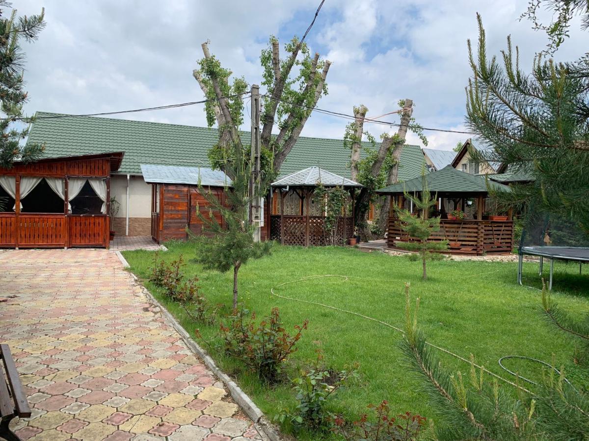 Pensiune Restaurant Rustic Rm Sarat Râmnicu Sărat Dış mekan fotoğraf